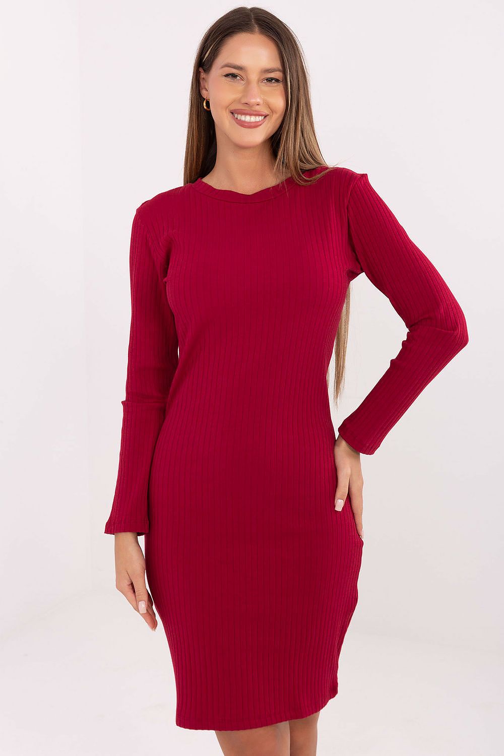 Women's Knee-Length Day Dress – Slim With Long Sleeves
