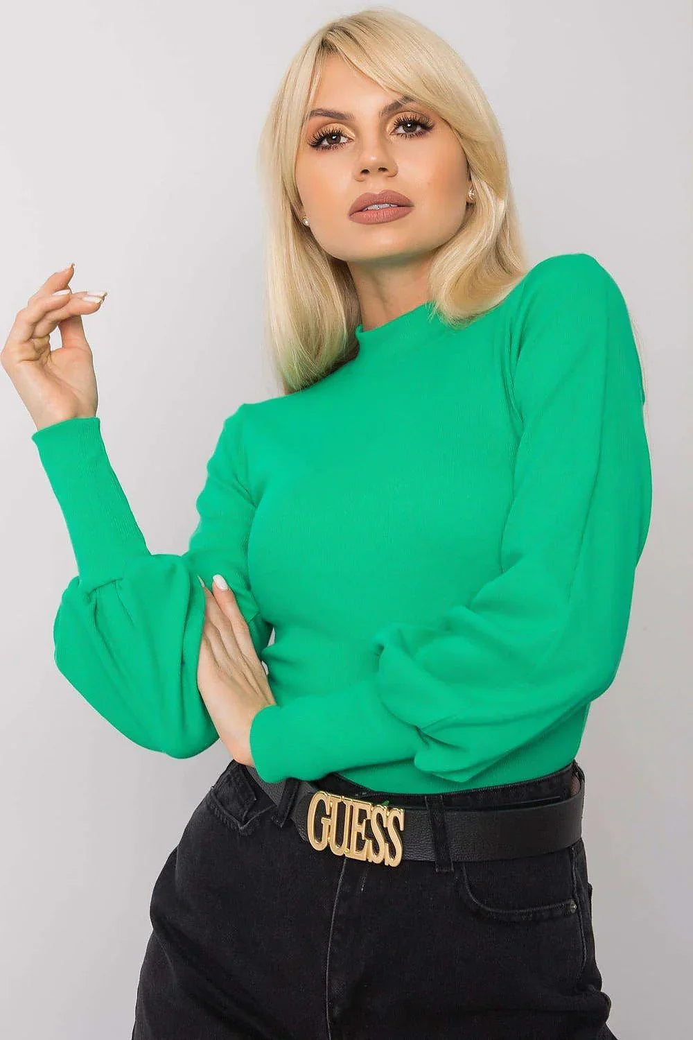 Women's Long Sleeve Blouse - Solid Waist Length