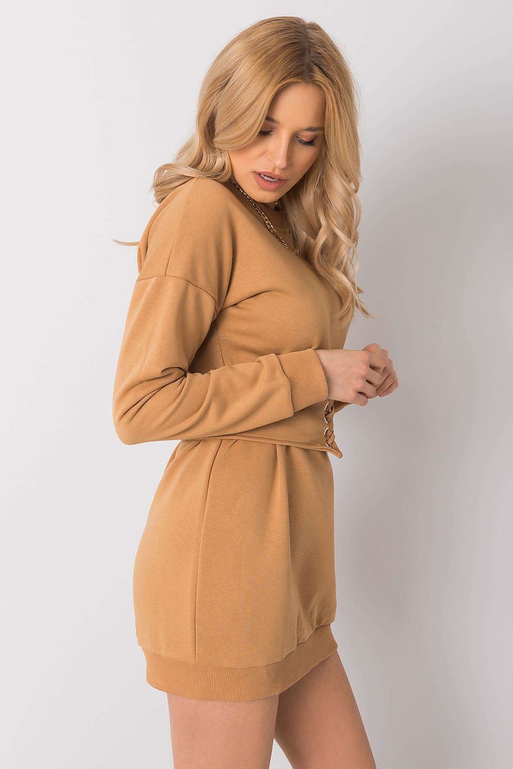 Women's Mini Day Dress – Regular Fit With Long Sleeves