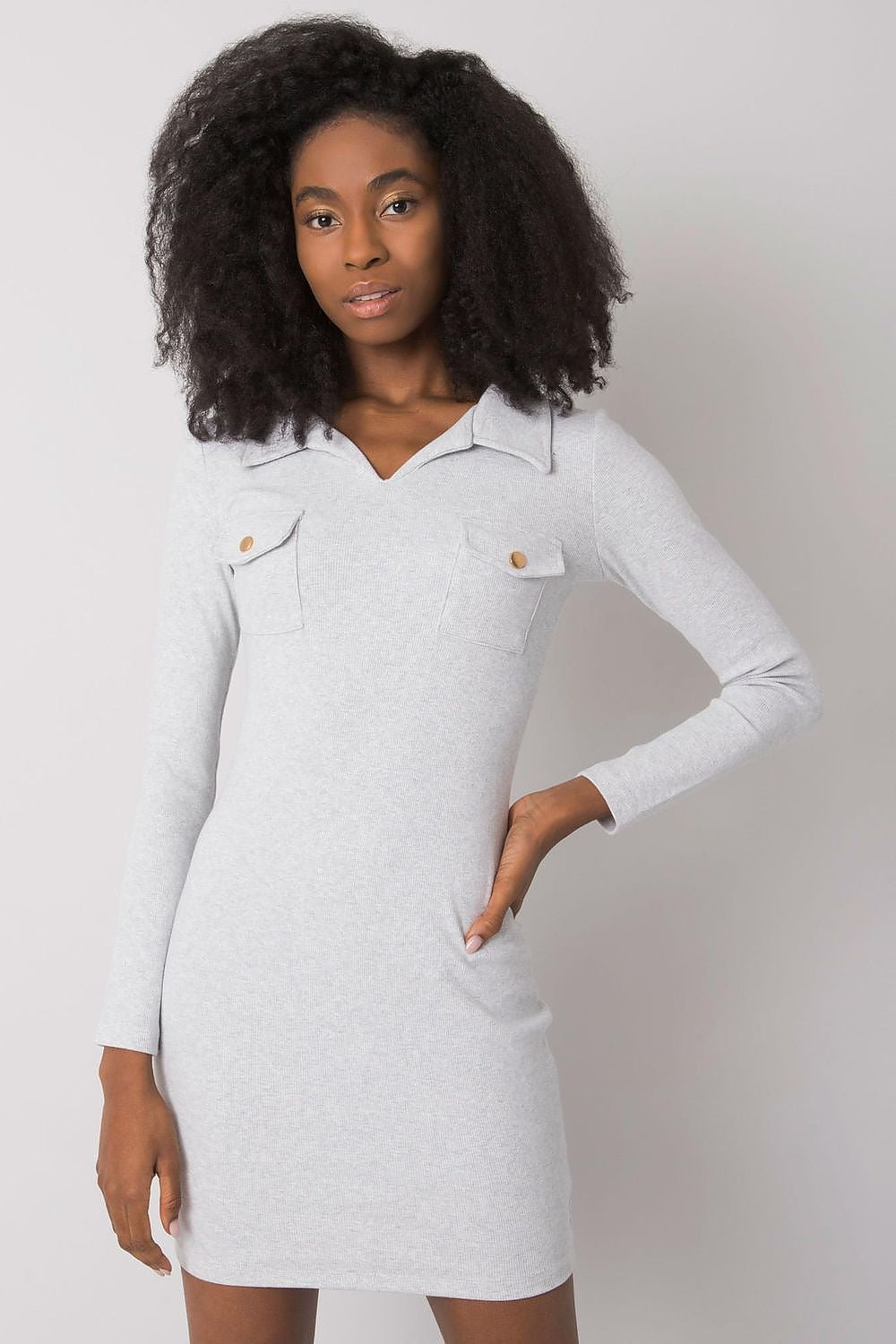 Women's Mini Day Dress – Slim With Long Sleeves
