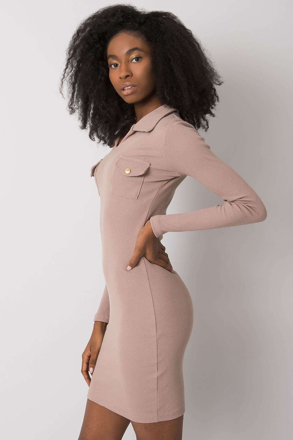 Women's Mini Day Dress – Slim With Long Sleeves